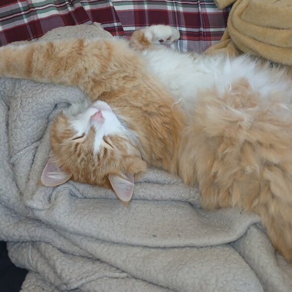 About me - Picture 2 of 2